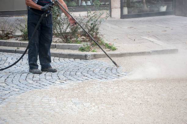 Best Patio and Deck Pressure Washing  in Holley, FL