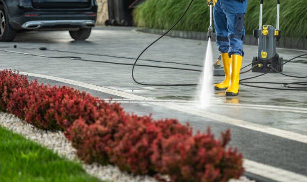 Best Roof Washing  in Holley, FL