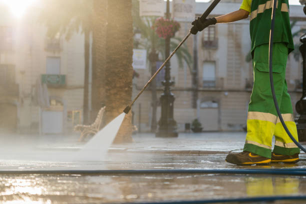 Best Gutter Cleaning  in Holley, FL